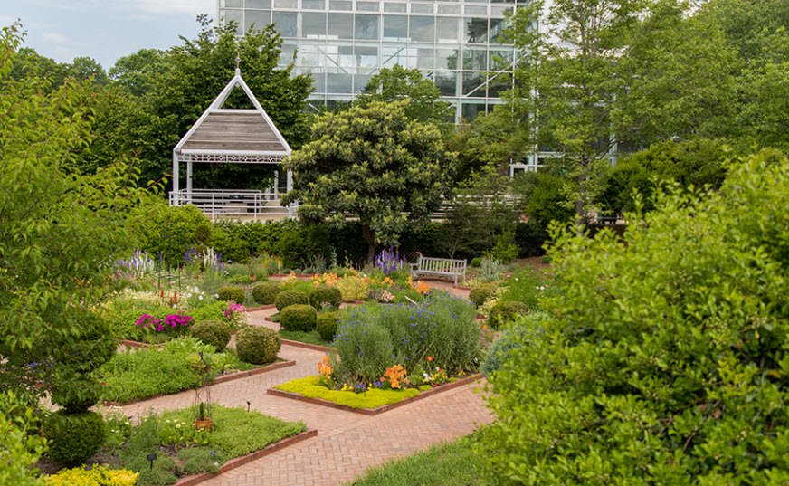 Georgia Perimeter College Botanical Garden, United States
